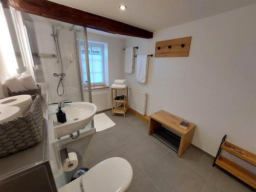 a bathroom with a toilet and a sink at Gasthaus zum Ochsen in Mönchberg