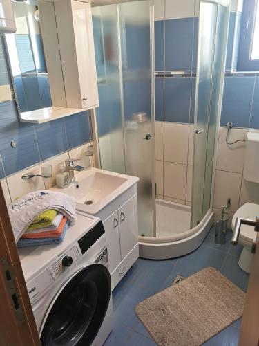 ein Badezimmer mit Waschmaschine und Waschbecken in der Unterkunft PENEMA in Zlatibor