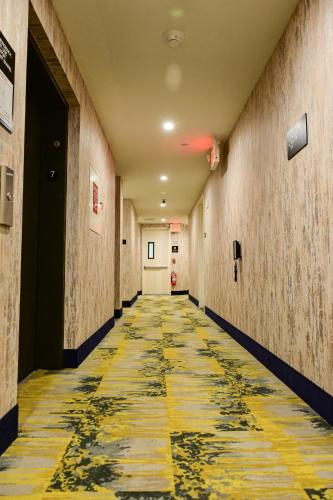 Φωτογραφία από το άλμπουμ του Super 8 by Wyndham Bronx Near Botanical Garden στο Μπρονξ