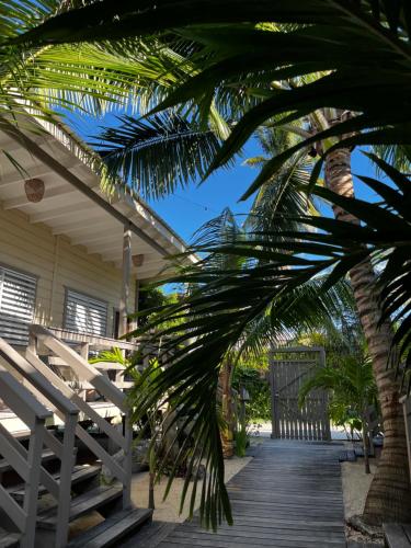 a wooden walkway leading to a house with a palm tree at DreamCabanas in Caye Caulker