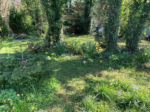 a garden with trees and flowers in the grass at Castle View Annex in Wareham