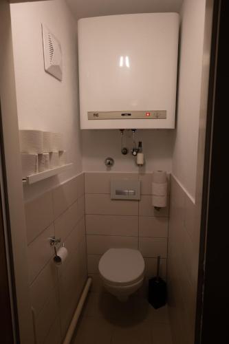 a small bathroom with a toilet and a sink at L&P Appartement Gerlitzen & Pool - Haus Enzian in Kanzelhöhe