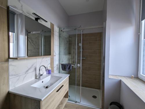 La salle de bains est pourvue d'un lavabo et d'une douche. dans l'établissement La Clématite, gîte climatisé 3 couchages indépendants, à Soultz-Haut-Rhin