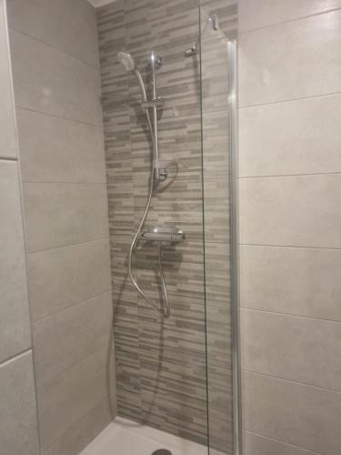 una ducha con puerta de cristal en un baño en L'ALPIN, en Bourg-Saint-Maurice
