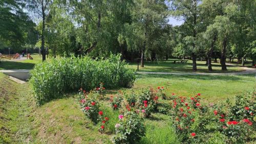 a garden with red flowers in a park at Silence Apartmanház Zalakaros in Zalakaros