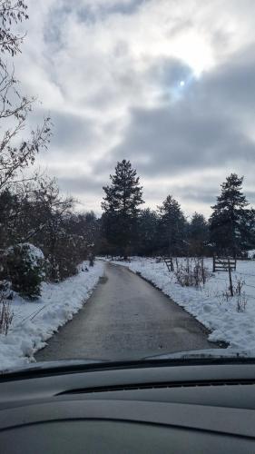 AA Pine vikendica za izdavanje u srcu Zapadne Srbije en invierno