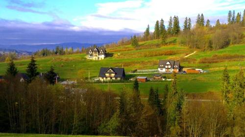 a group of houses on a green hill at VILLA JAGODOVO niezależne piętro z 5 pokojami oraz jadalnią jest dostępny ZADZWON in Biały Dunajec