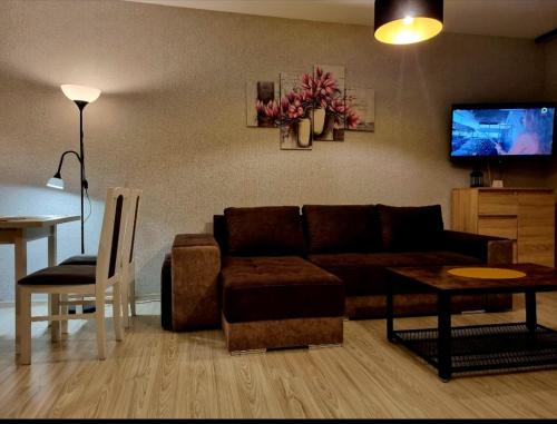 salon z kanapą, stołem i telewizorem w obiekcie Willa "Aparthause" E-Apartamenty w Mielcu