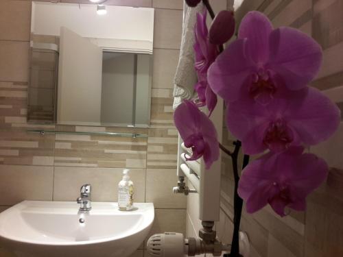 アルタムーラにあるVilla Gennyのバスルーム(シンク、紫の花付)