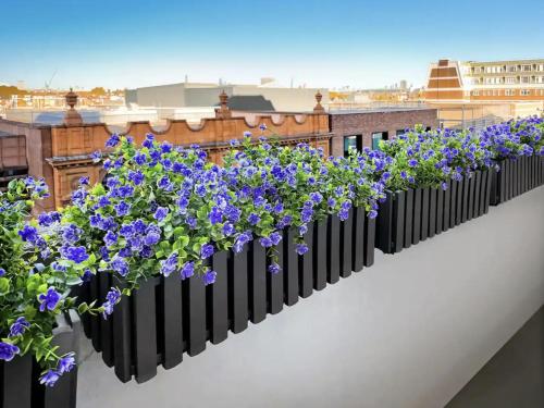 una fila di fiori viola su un balcone di Chelsea Flat 10 mins Harrods, Balcony, Gym, Air Conditioning a Londra