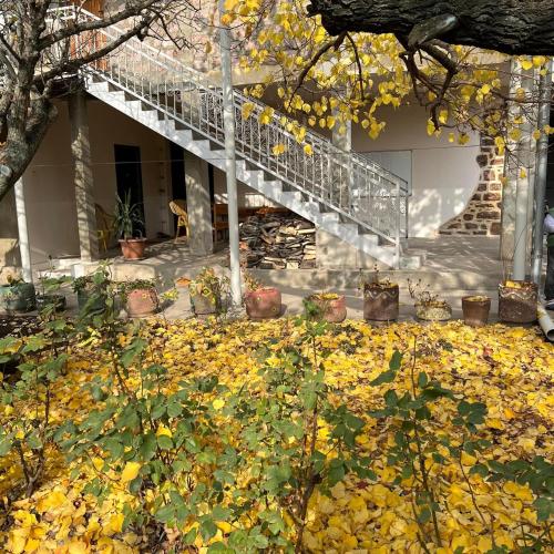 guest house – Photos 4