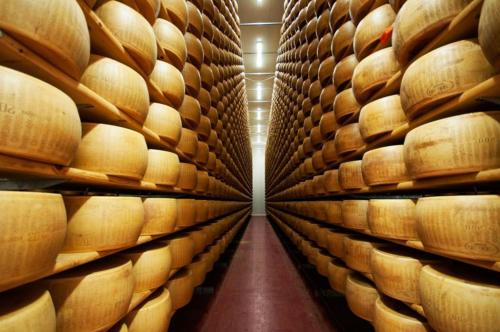 a row of wine barrels in a wine cellar at La Ca' Tòrta - Rustico ristrutturato in Neviano degli Arduini