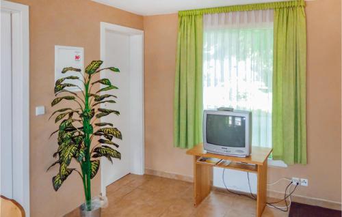 a living room with a television and a plant at Amazing Home In Eichigt-ot Sssebach With Ethernet Internet in Eichigt