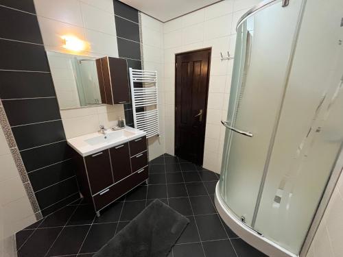 uma casa de banho com um lavatório e um chuveiro em Pensiunea Miorița Putna em Putna