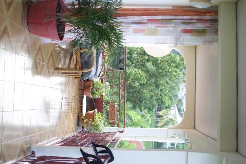 an open window with two potted plants in a room at The Kapokier in Saint-Pierre