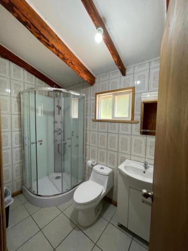 a bathroom with a shower and a toilet and a sink at Cabaña la percha in Coihaique