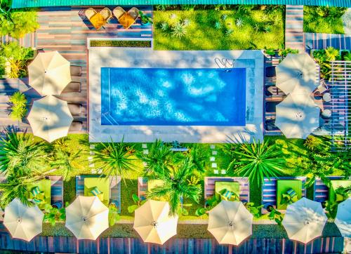 Exôtico Beach & Rooms في بويرتو فيجو: اطلالة علوية على مسبح مع مظلات