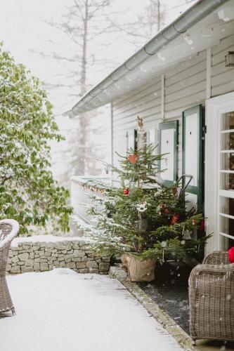 a christmas tree on the front porch of a house at Willa Tyrolczyk in Karpacz