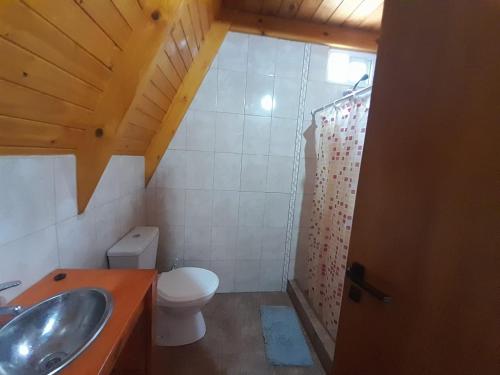 a bathroom with a sink and a toilet and a shower at LAS ALPINAS in Gualeguay