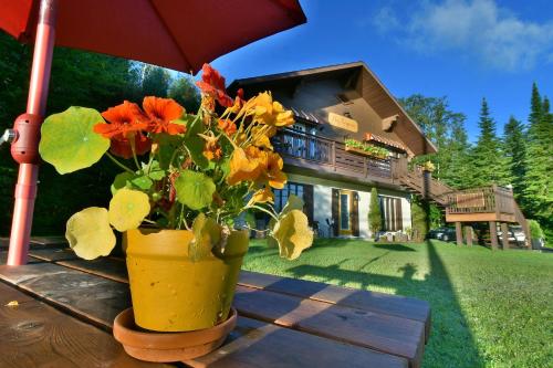 a vase of flowers sitting on a table with a house at Chez Les Bergeron in Saint Aime Des Lacs