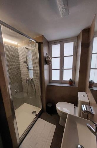une salle de bain avec douche et toilettes dans l'établissement Maison de village Haut-de-Cagnes avec vue mer, à Cagnes-sur-Mer