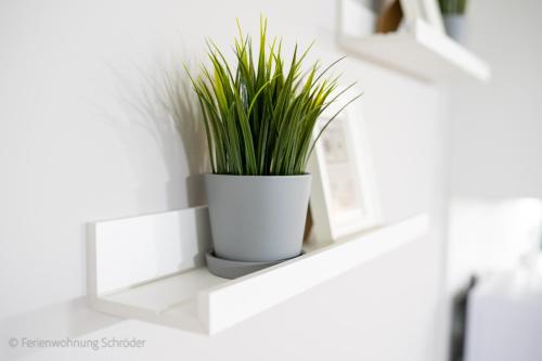 a plant in a white pot sitting on a shelf at Ferienwohnung Schröder in Barntrup