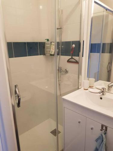 une salle de bain avec douche et lavabo dans l'établissement Appartement lumineux et moderne, au Mans