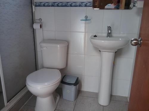y baño con aseo y lavamanos. en Departamento equipado Luisa, en Valdivia