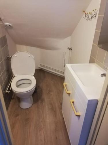 une petite salle de bain avec toilettes et lavabo dans l'établissement L'appart des Sotrés, à Saint-Dié-des-Vosges