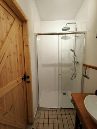 a shower with a glass door in a bathroom at Apartament Borówka in Jedlina-Zdrój