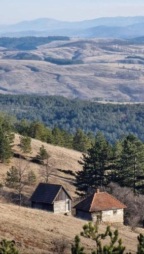 two buildings on top of a hill with trees at Divčibarski M.S.A. kutak in Divčibare