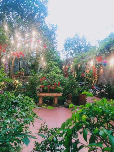 Zahrada ubytování Phi Hung's Unique Homestay