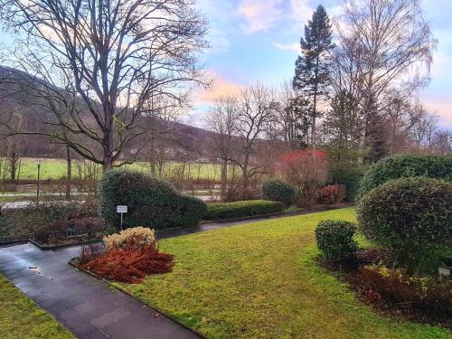 a garden with bushes and a walkway at Apartment Salinenpromenade Bad Kissingen in Bad Kissingen