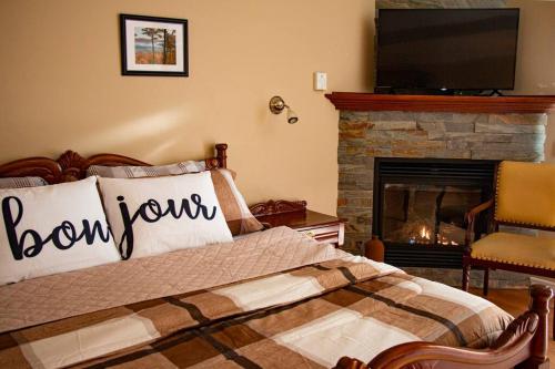 a bedroom with a bed with a fireplace and a television at Charming studio with kitchen St-Sauveur in Piedmont