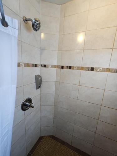 a bathroom with a shower with a tiled shower at Maya Beach Hotel in Maya Beach