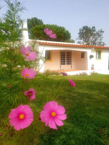 a group of pink flowers in the grass in front of a house at Sondela Self Catering in São Martinho do Porto