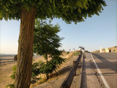 a tree on the side of a road at Azafrán Consuegra in Consuegra