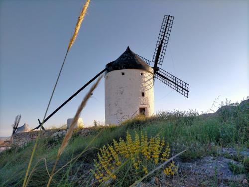a windmill sitting on top of a grassy hill at Azafrán Consuegra in Consuegra