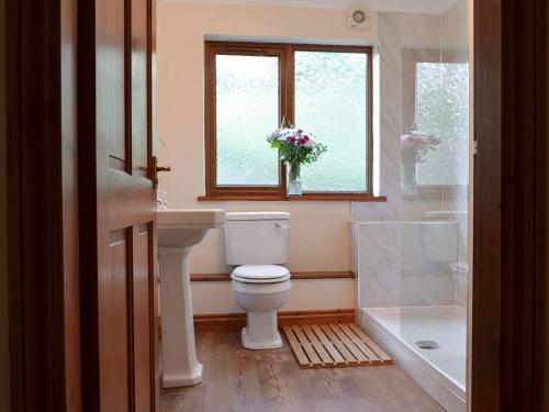 uma casa de banho com um WC, um lavatório e uma janela em Rowan House em Glencripesdale