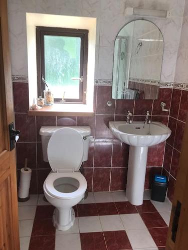 a bathroom with a toilet and a sink at Castlegregory-Seaside 2 Bedroomed Cottage in Castlegregory