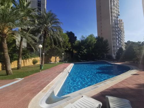 basen z palmami i budynek w obiekcie APTO SM MONTECARLO P19 EDIF.GEMELOS 15 BENIDORM PLAYA LEVANTE w mieście Benidorm