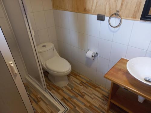 a bathroom with a toilet and a sink at Agroturismo Coñico in Quilquico