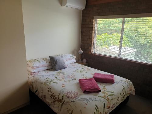ein Schlafzimmer mit einem Bett mit Kissen und einem Fenster in der Unterkunft Inara Apartment Mudgee in Mudgee