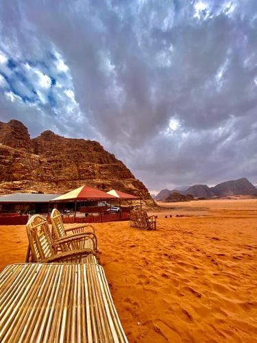 a group of chairs sitting on a beach in the desert at Rum Kingdom Camp in Wadi Rum