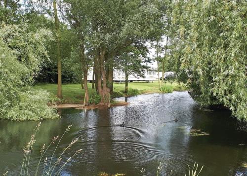 a pond with a snake in the water with trees at Barlings Country Park in Langworth