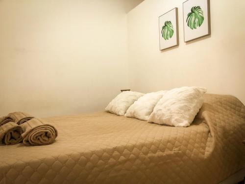 1 dormitorio con 2 almohadas en DEPARTAMENTO CIUDAD DE MENDOZA - MODERNO/EXCELENTE UBICACION en Mendoza