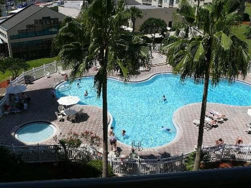 an overhead view of a large swimming pool with palm trees at 3407 Luxury option for your visit in Orlando