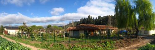 a house in a field with a vineyard at Alojamiento Los Nogales in Santa Cruz