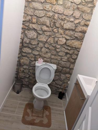La salle de bains en pierre est pourvue de toilettes et d'un mur en pierre. dans l'établissement Appartement 1chambre et 1salon, à Cepoy
