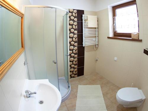 a bathroom with a sink and a shower and a toilet at Alpejka - Domek Górski in Idzików
